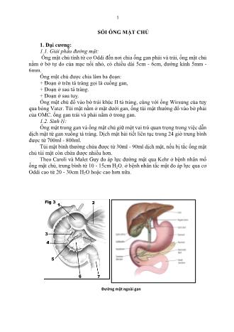 Tài liệu ôn thi vị trí bác sĩ Đa khoa - Ngoại khoa - Sỏi ống mật chủ