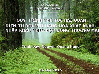 Bài giảng Quy trình thủ tục Hải quan điện tử đối với hàng hóa xuất khẩu theo hợp đồng thương mại